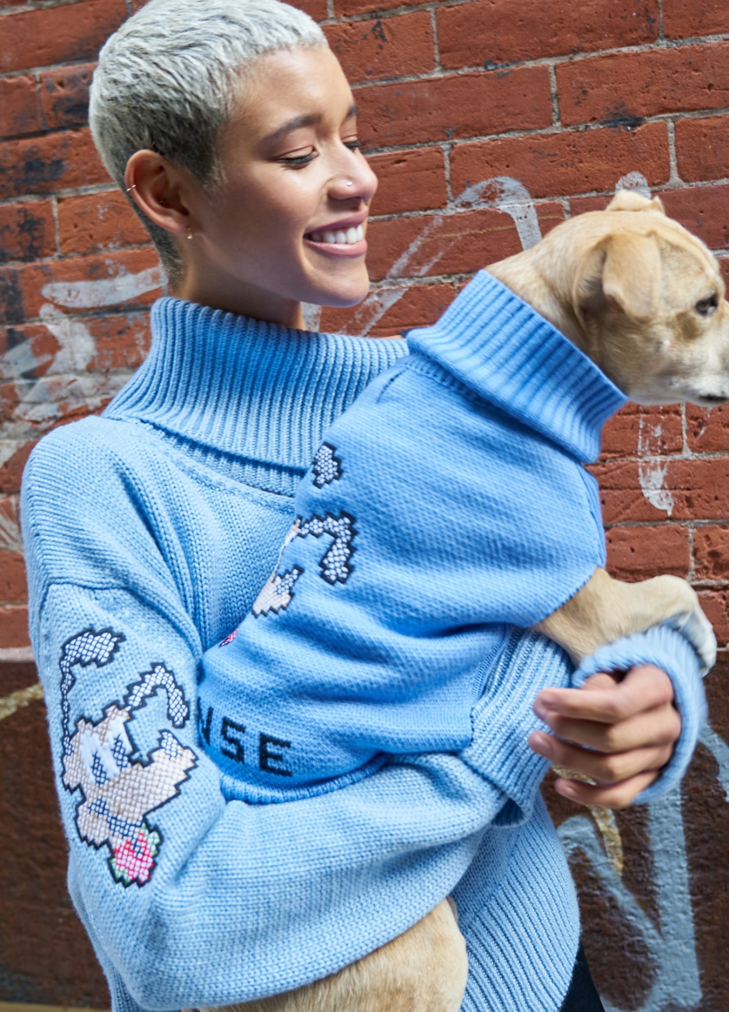 monse-dog-sweater-bunny-cross-stitch-blue.jpg