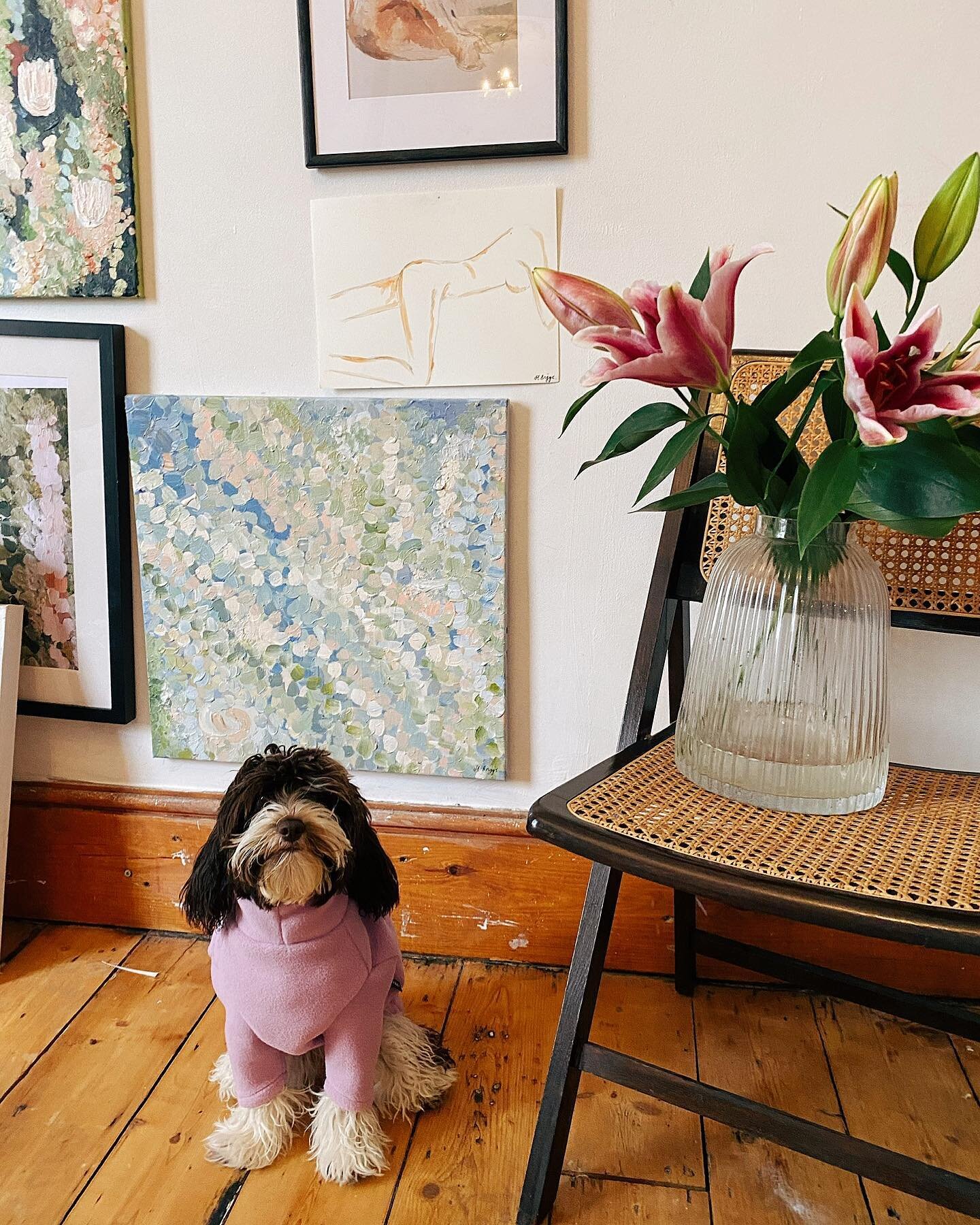 Little Monday pick me up... @harliebriggsart_ gorgeous pup, Bonnie. Check on site for more from the artist and her #cockerpoo 🐶❤️