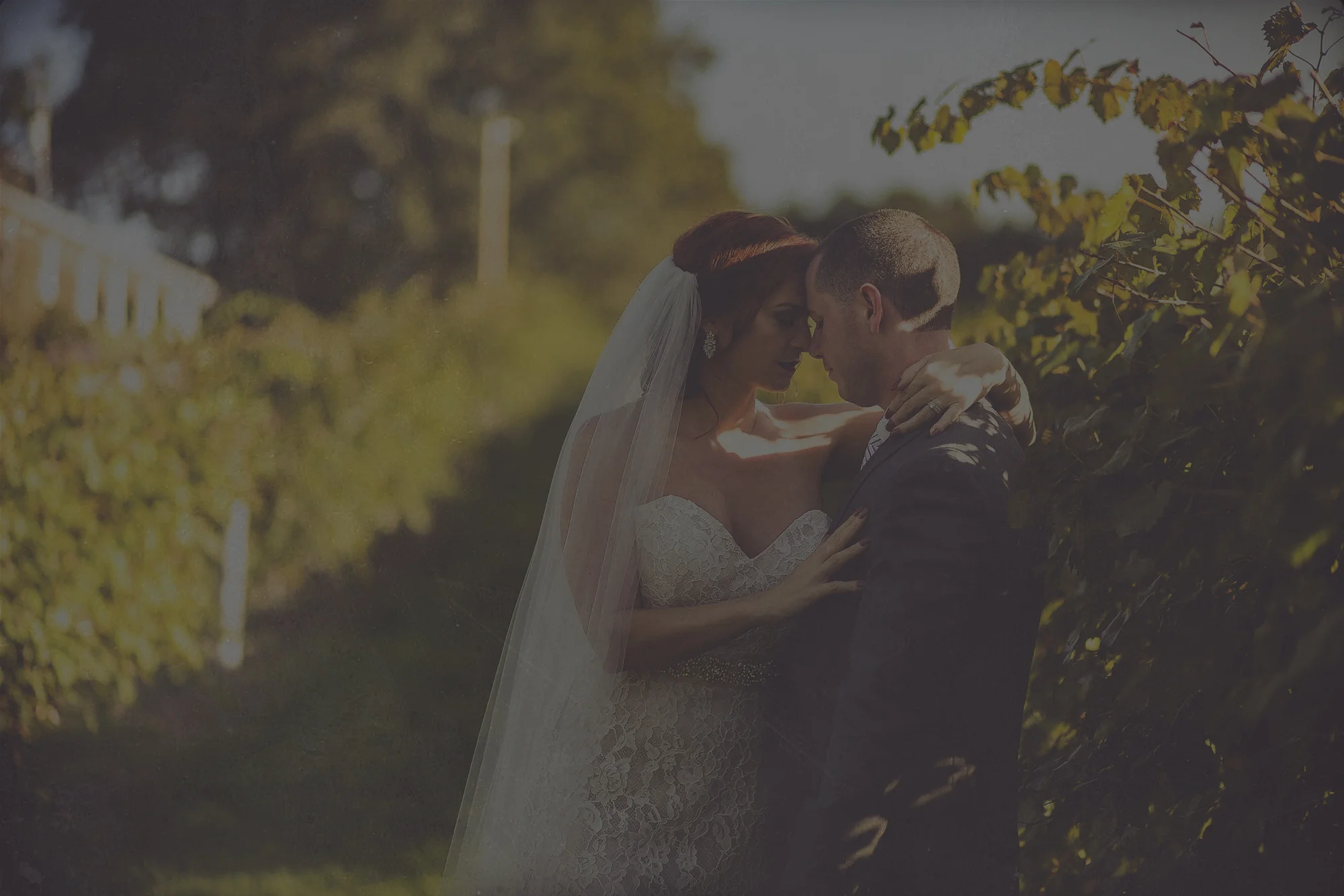 "Golden Hour with the Grapes" Vineyard Styled Shoot
