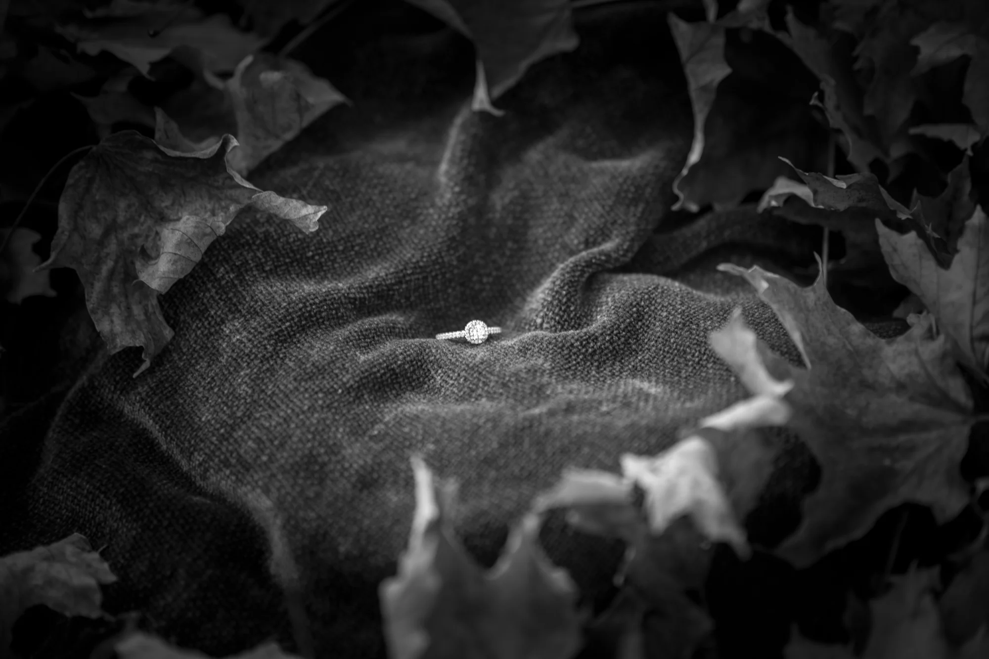 6blogphoto-.jpg