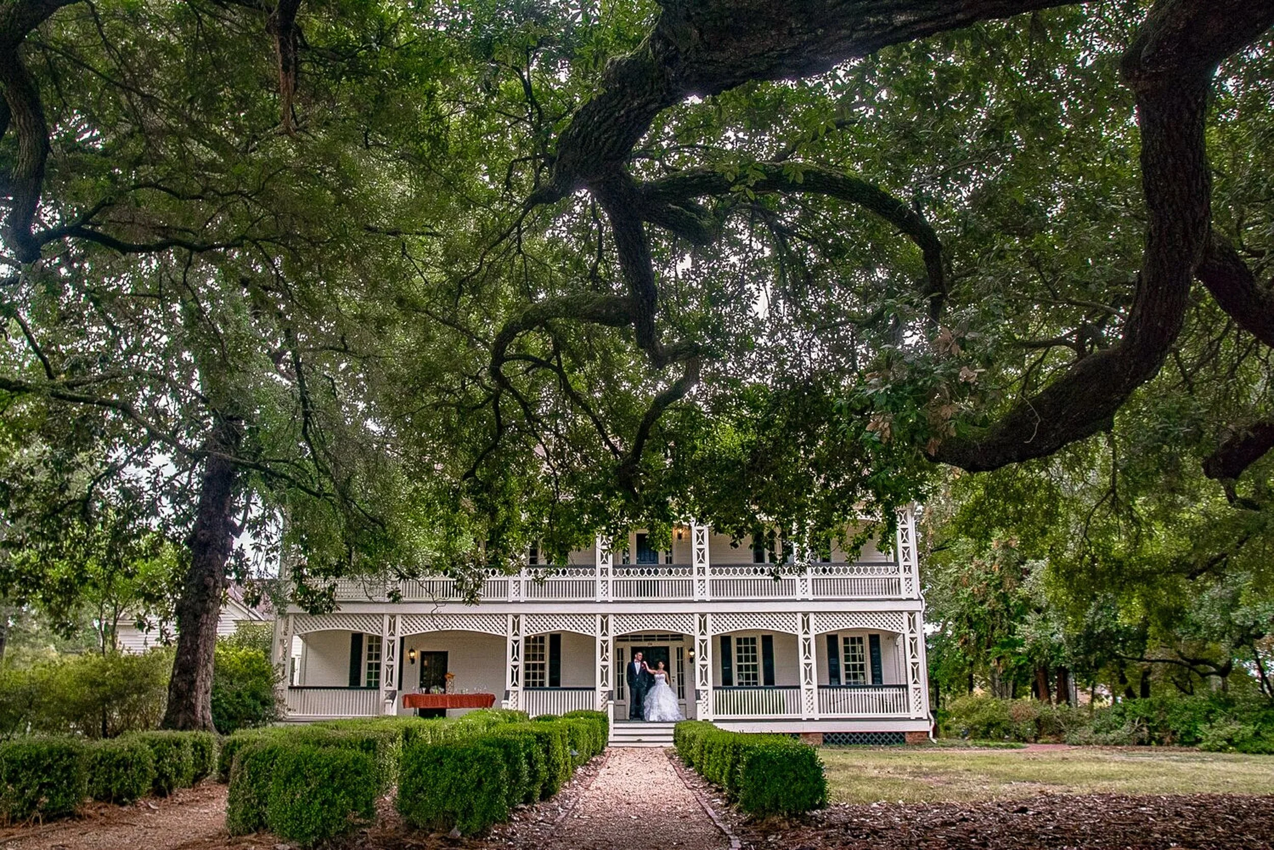 portfolio-robertburnsii-wedding--63.jpg