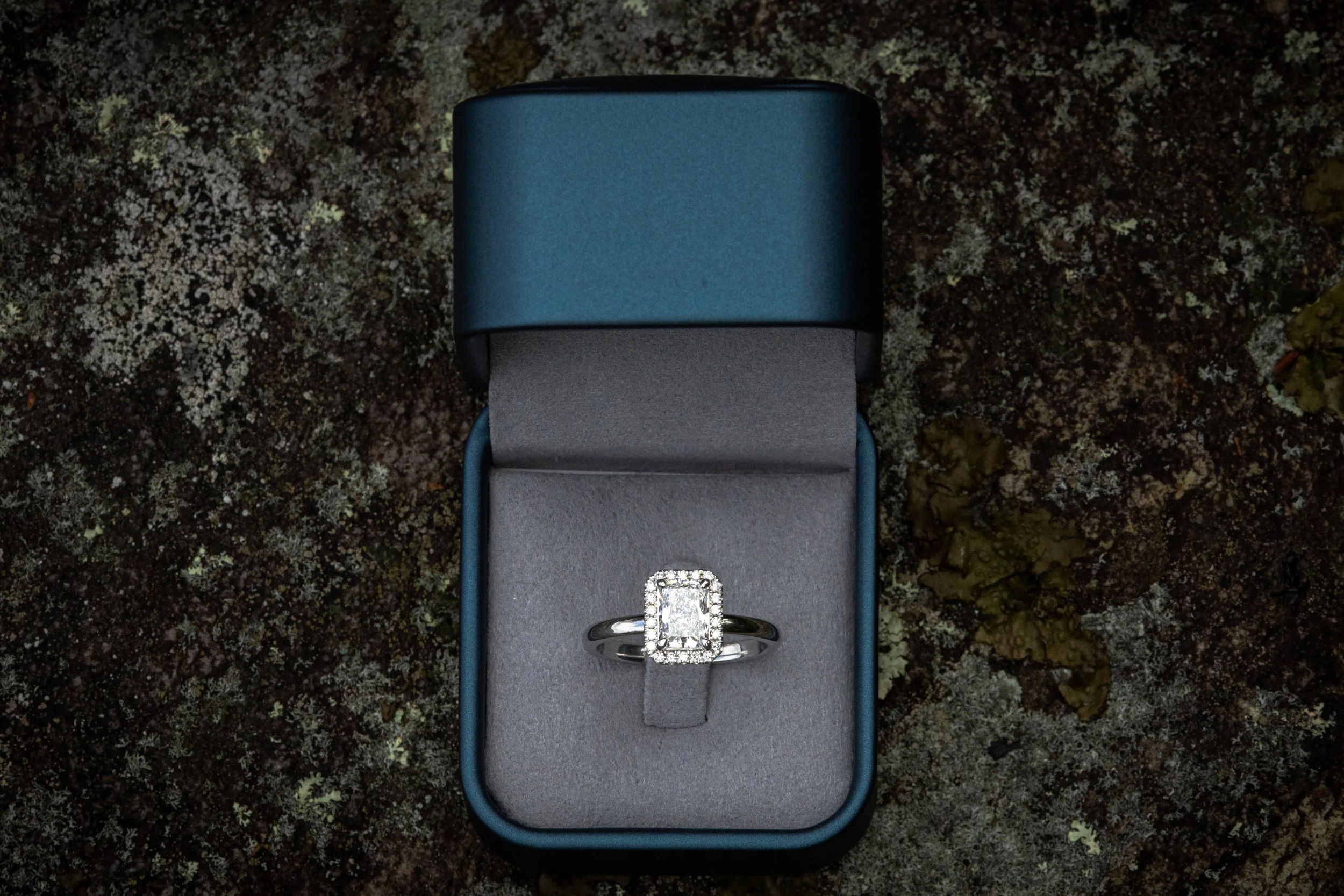 haileyandaustin-proposal-6.21.25-highlights--27.jpg