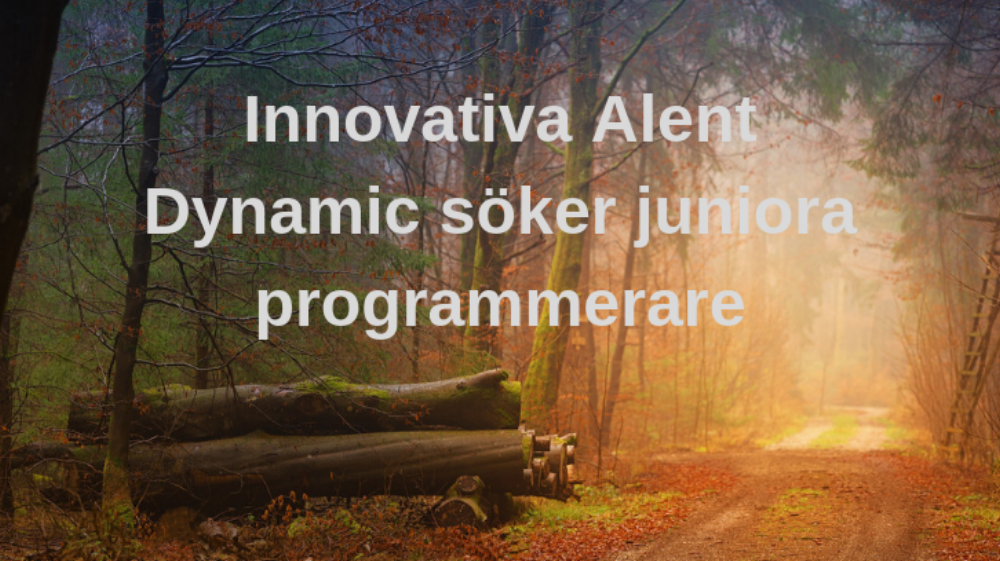 Juniora programmerare 2.png