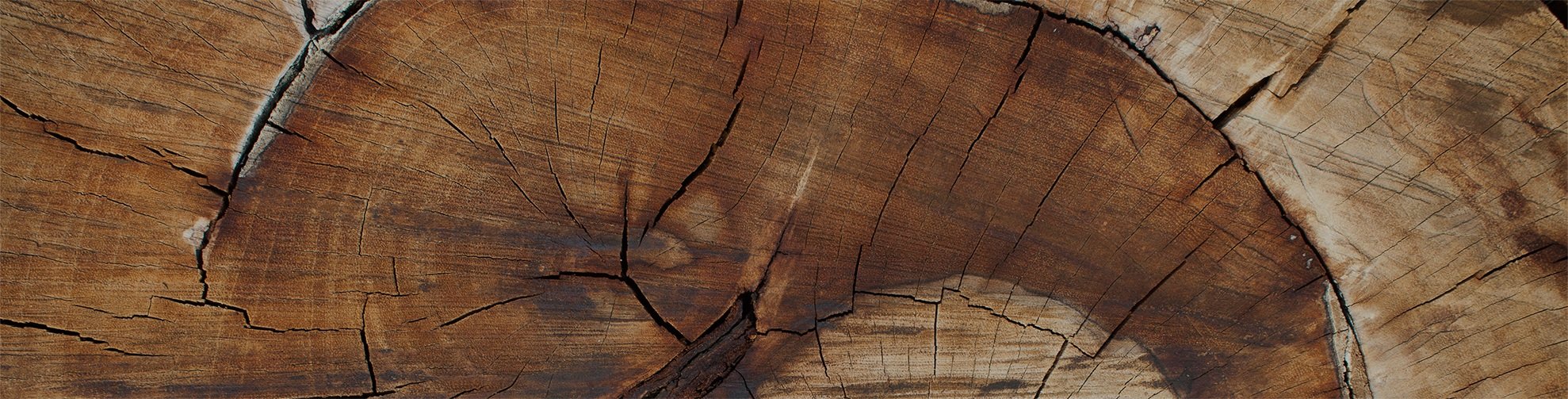   “A tree will grow for 120 years before being harvested for lumber; it is crucial that the drying — the last and most difficult part of the process — doesn’t jeopardize the financial outcome.”    —Johnny Lindström,  Production Manager at Setra, Malå