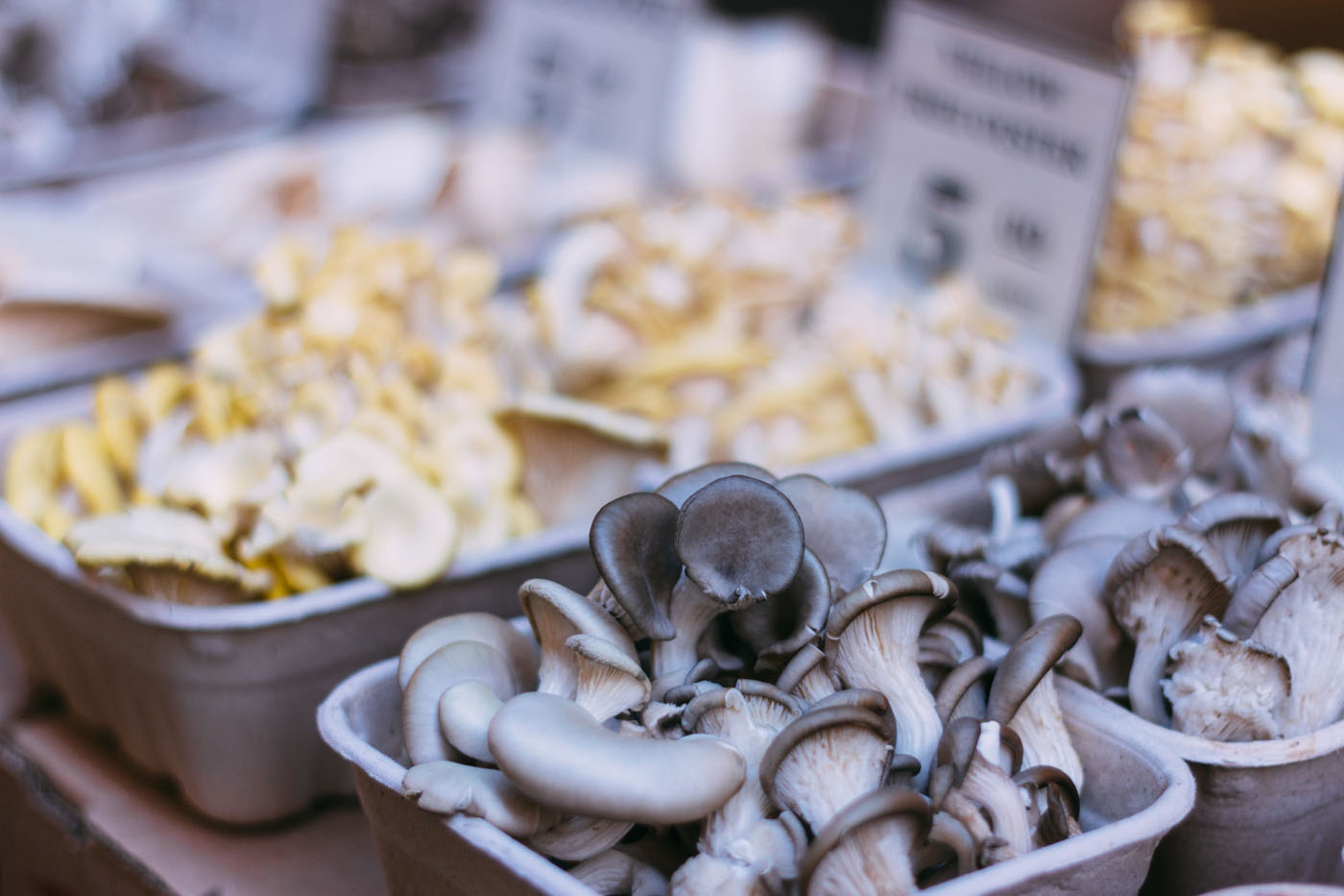 Mushrooms - Ferry Building San Francisco