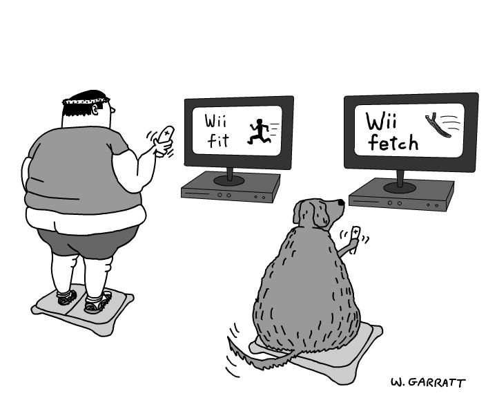wii fetch.jpg