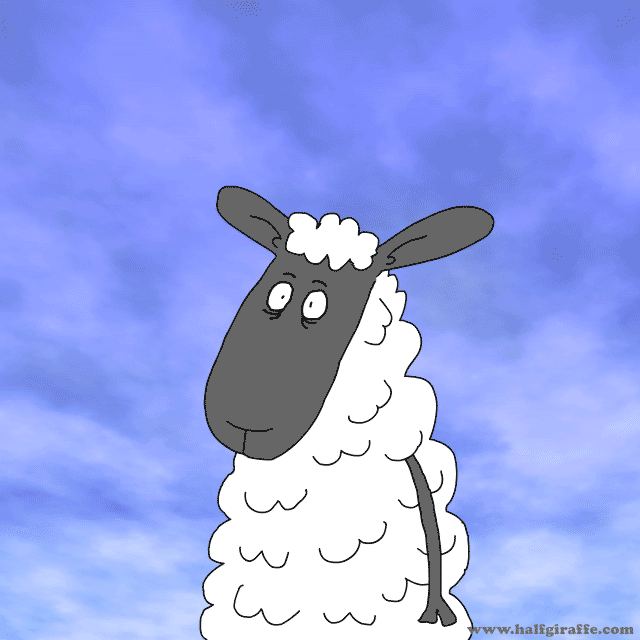 Wolves and sheep