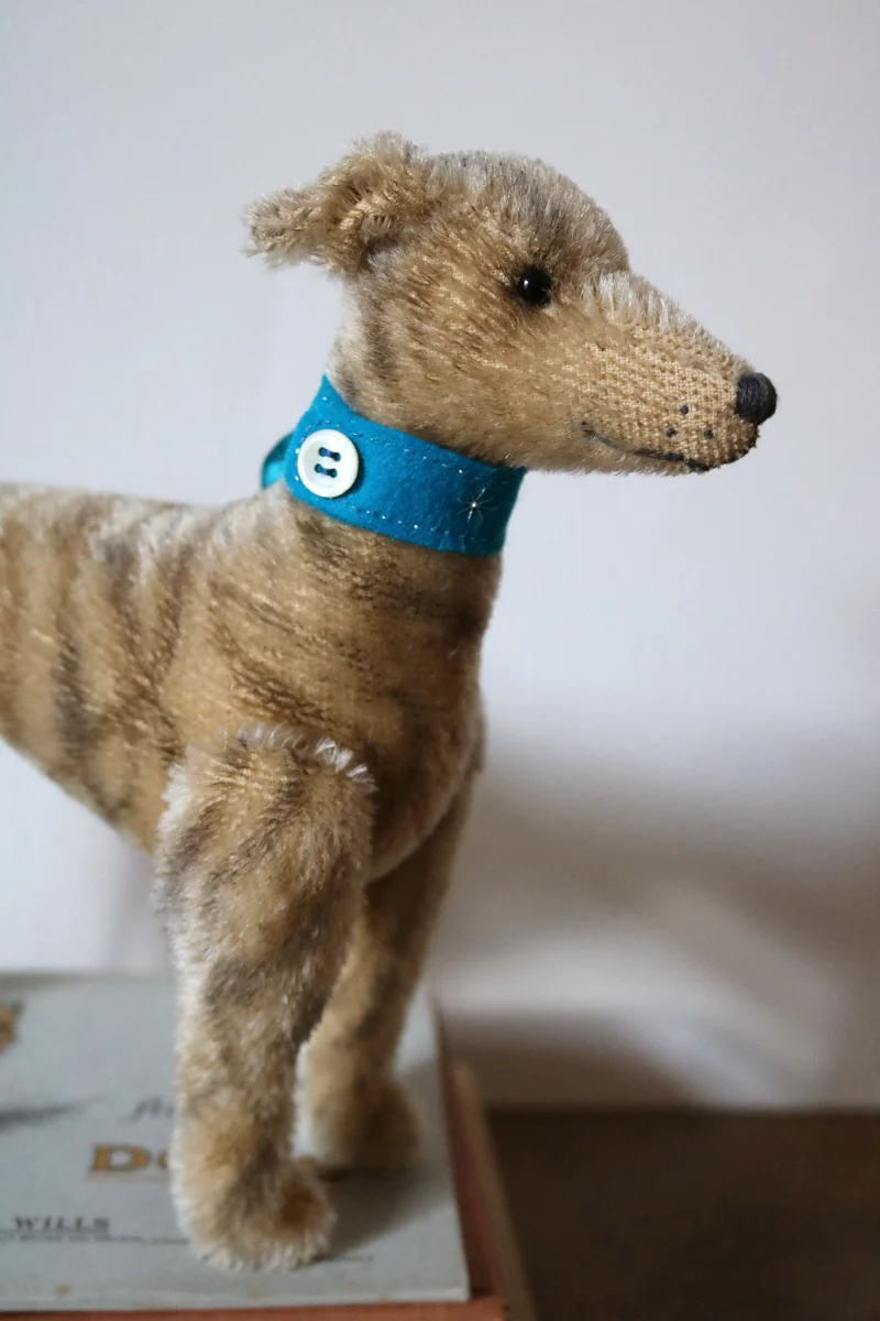 Whippet2018_1200_IMG_0577.jpg