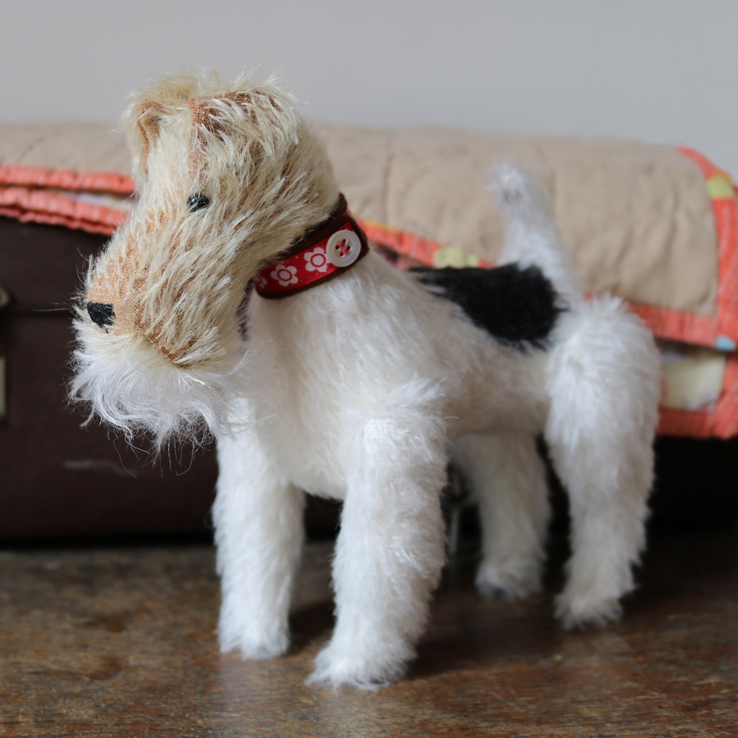 little fox terrier