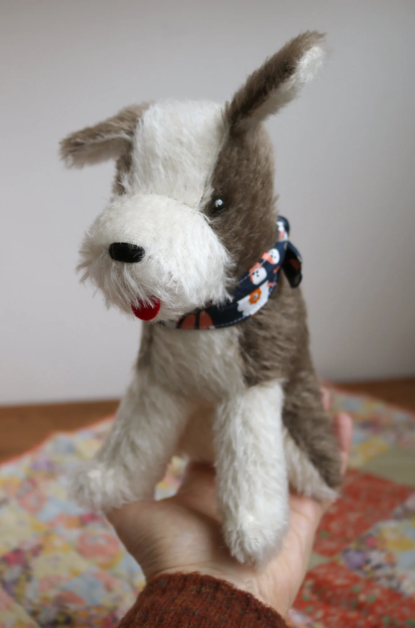 Cocoa_IMG_1646_2000px.jpg