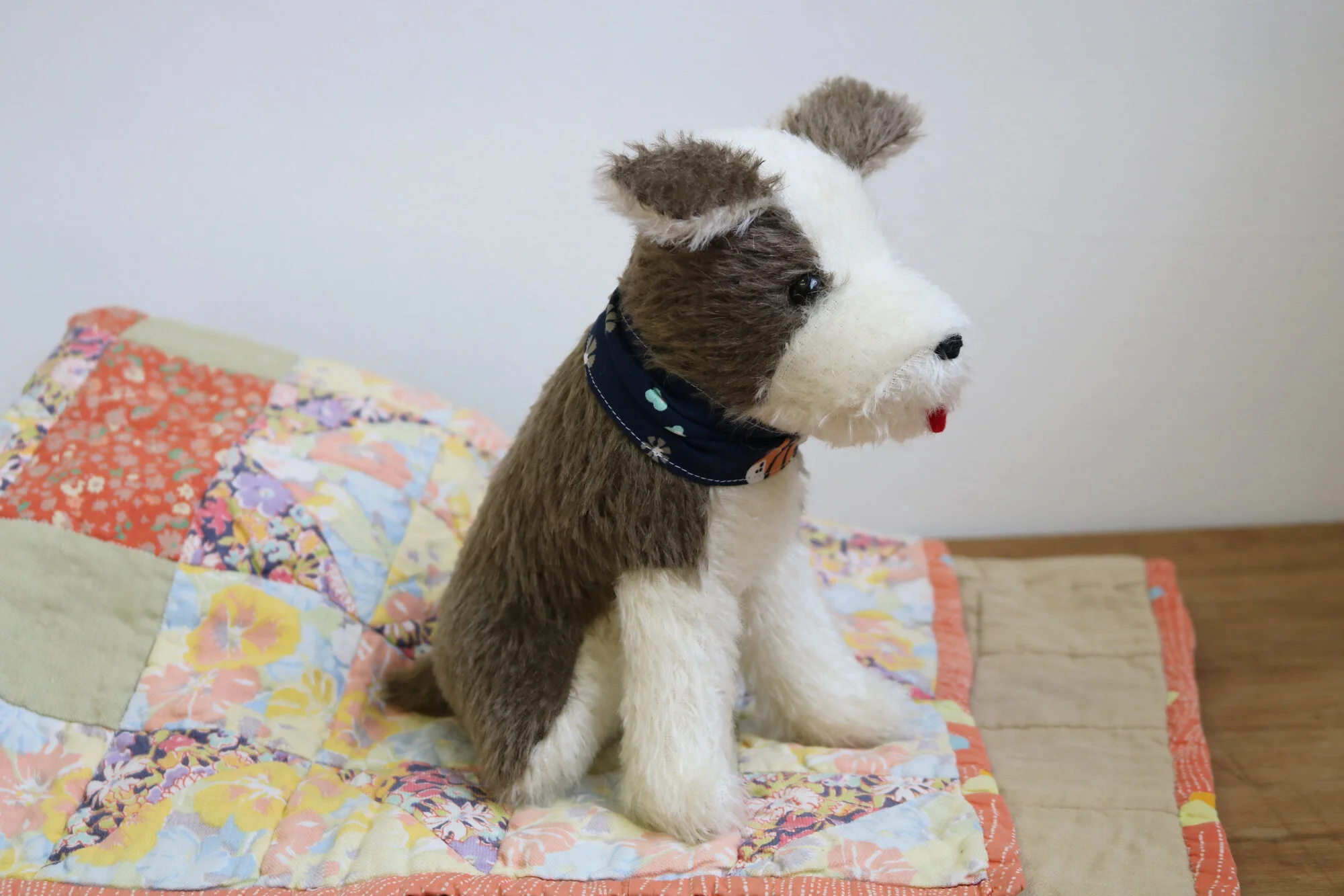 Cocoa_IMG_1582_2000px.jpg