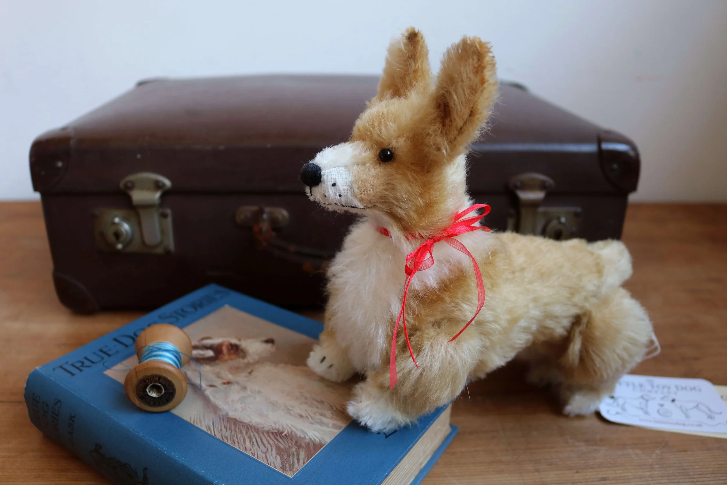 2024-11-30 15.34.22.jpg