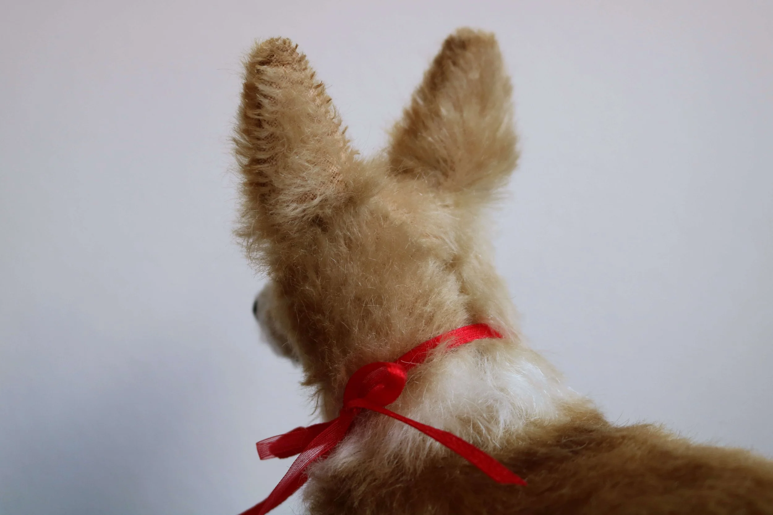 2024-11-30 15.29.04.jpg