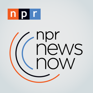 Fab 5 Podcasts: NPR News Now