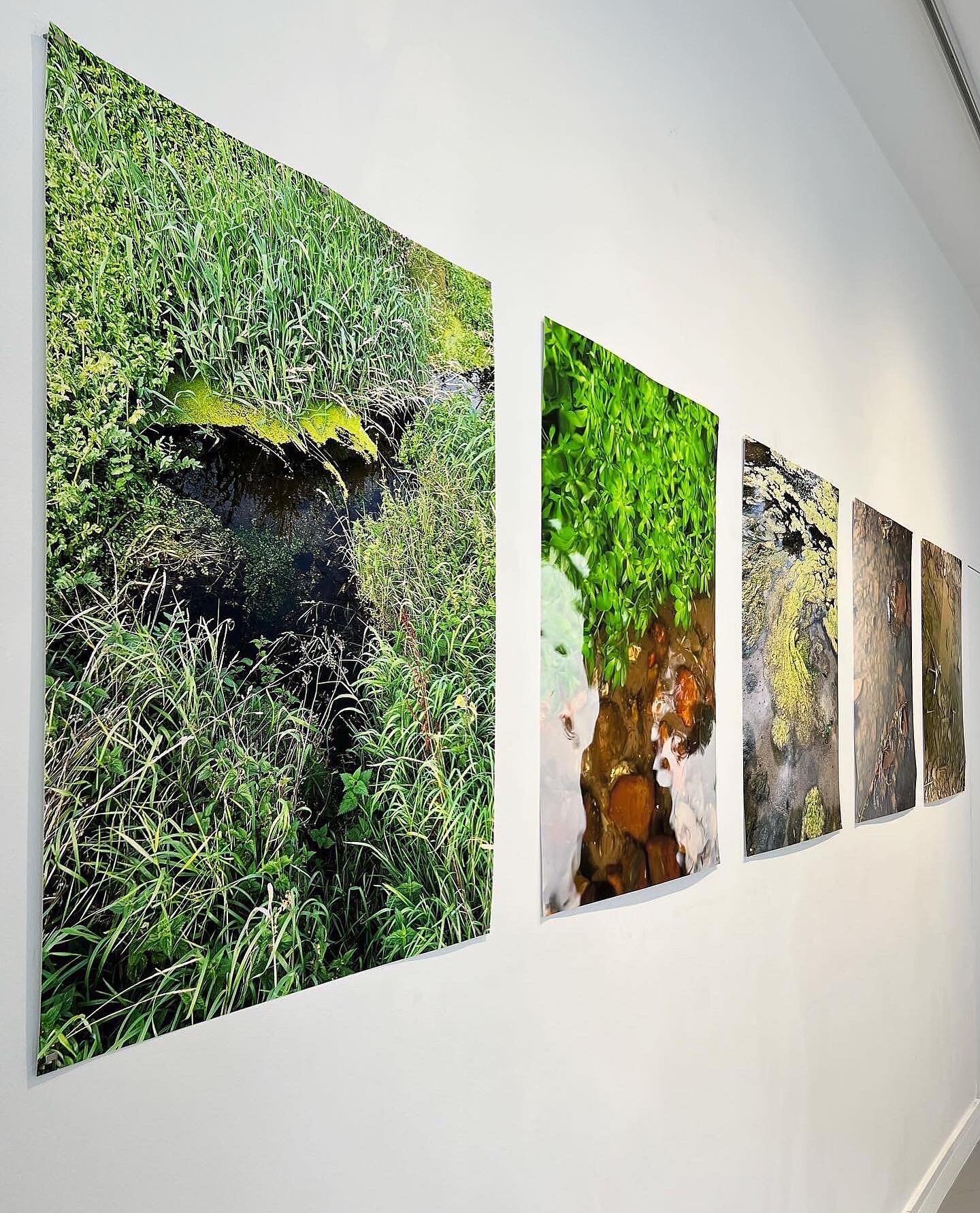 We&rsquo;ve all been busy installing the latest iteration of Groundwork Gallery&rsquo;s &lsquo;The Ground Beneath Our Feet&rsquo; exhibition. The work produced in response to field trips, museum visits and immersion in the landscape has resulted in s