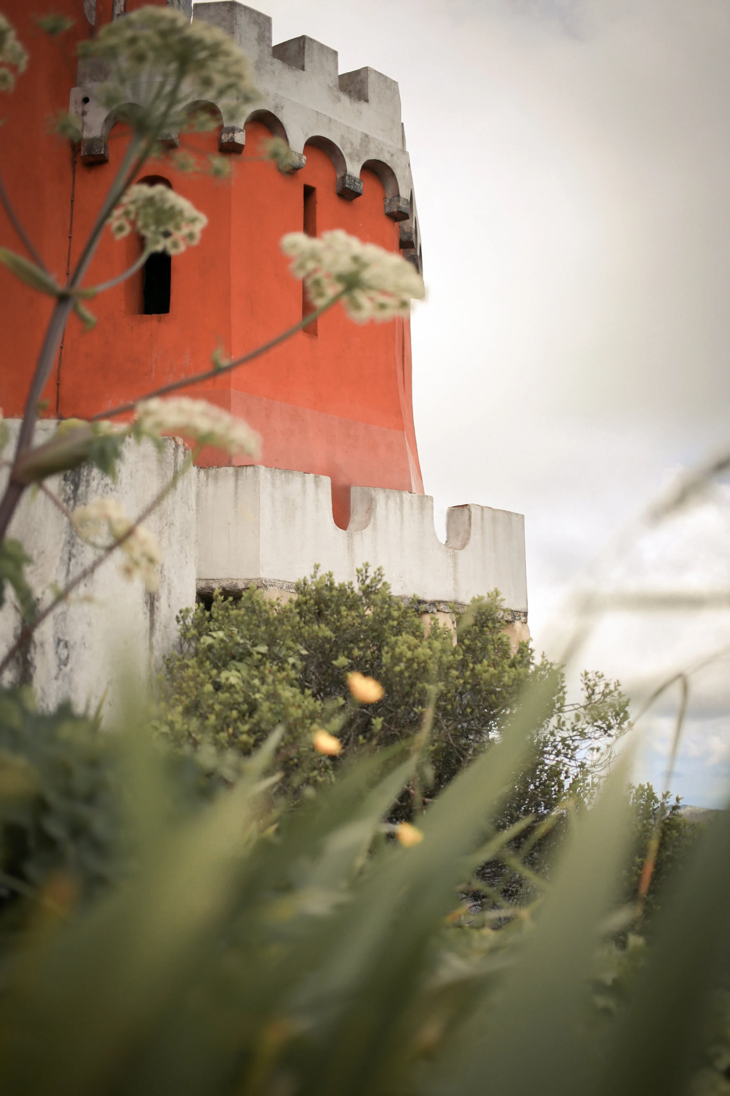 3R1A9991-Edit.jpg