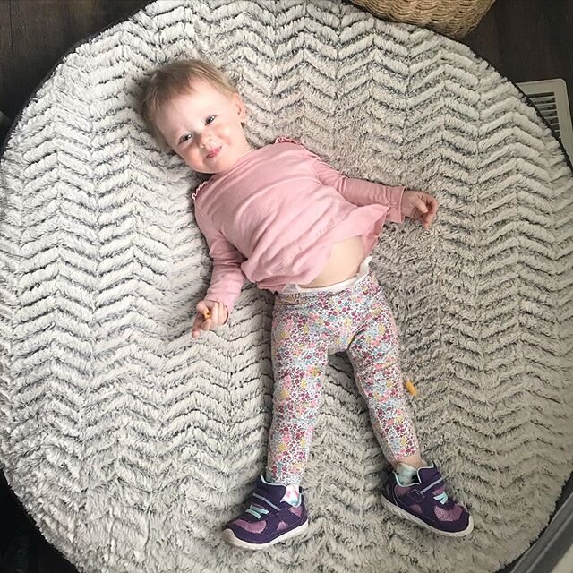 Happy 18 months to this little stinker who has made our hearts full, our hands busy. We love you so much Sloanie Bear.  #yesthatsadogbed #18months #sloaneshields