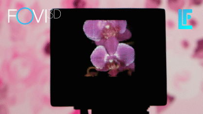 Orchid.gif