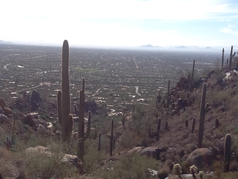 View from our property in Arizona