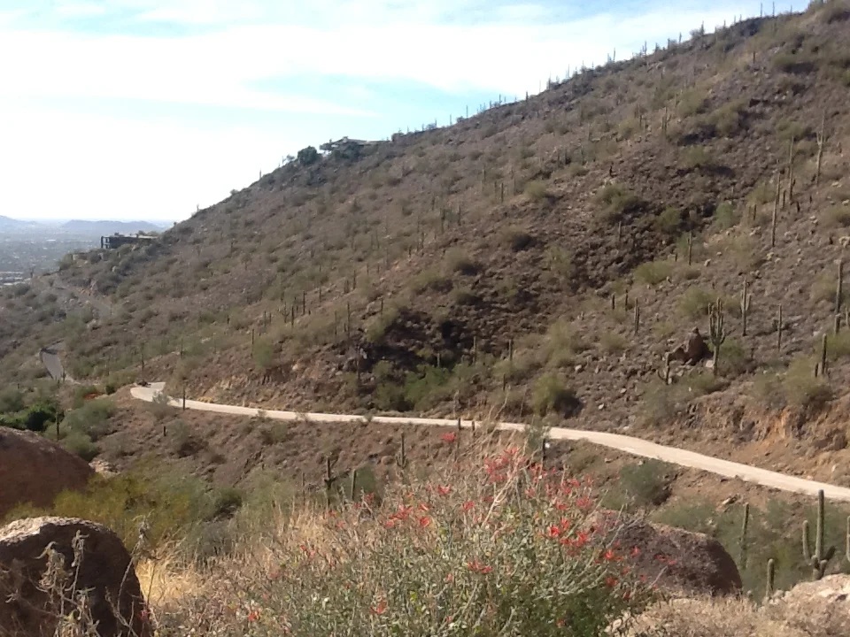Our hillside with building permit in hand