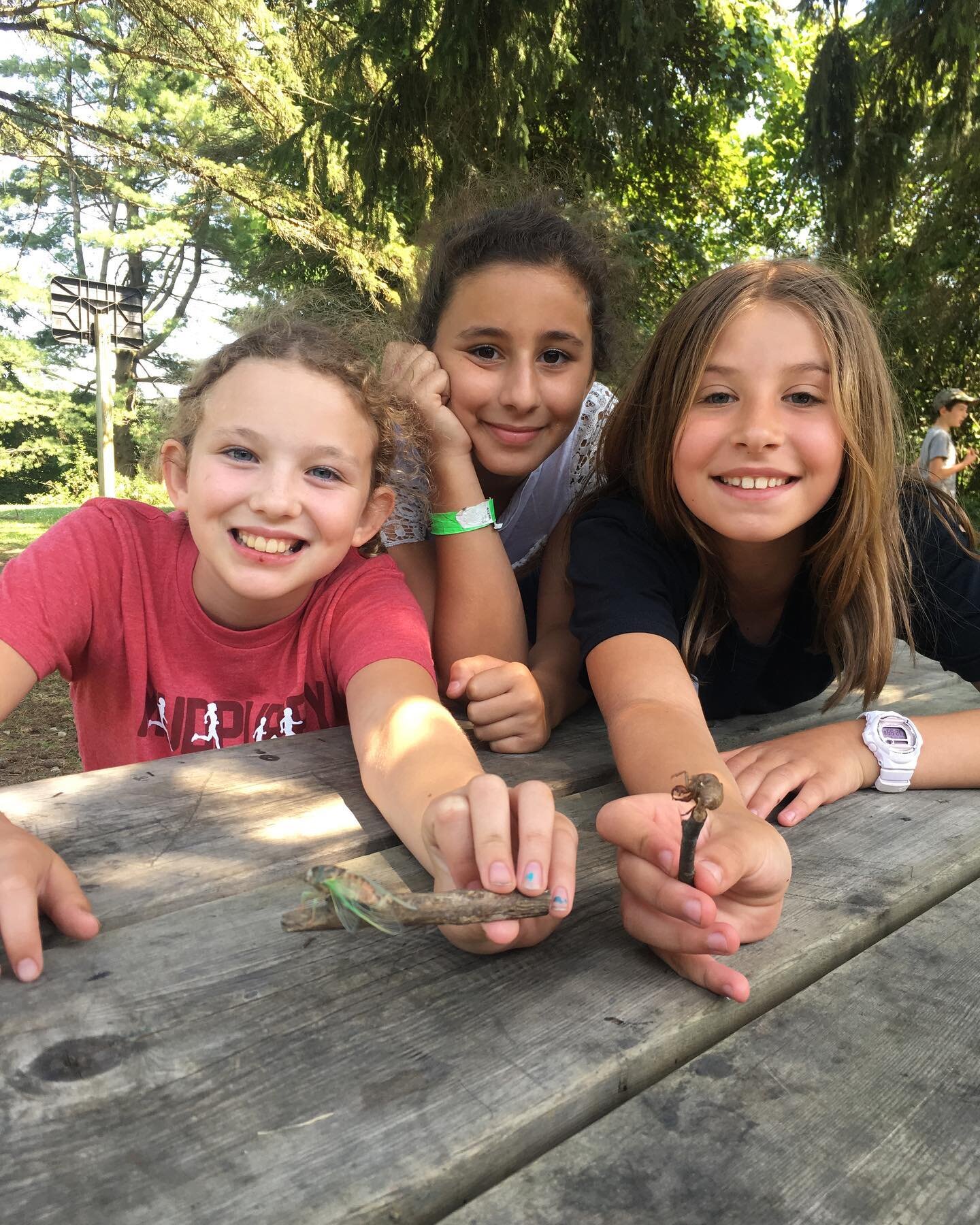 These explorers found a cicada bug and named him Fred! 🌲