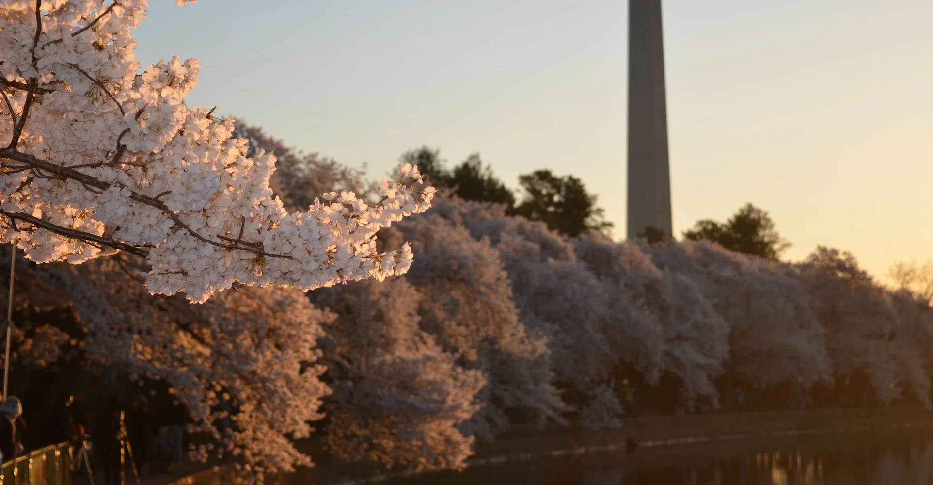 photo-1429019885980-e07c0774c492.jpg
