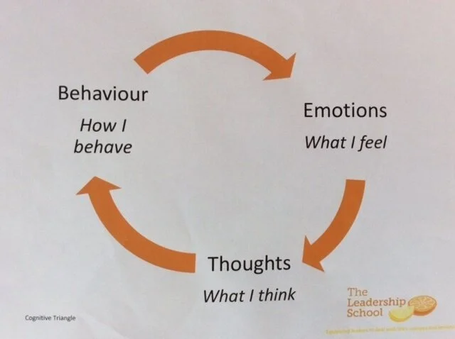 handout photo for the website.jpg