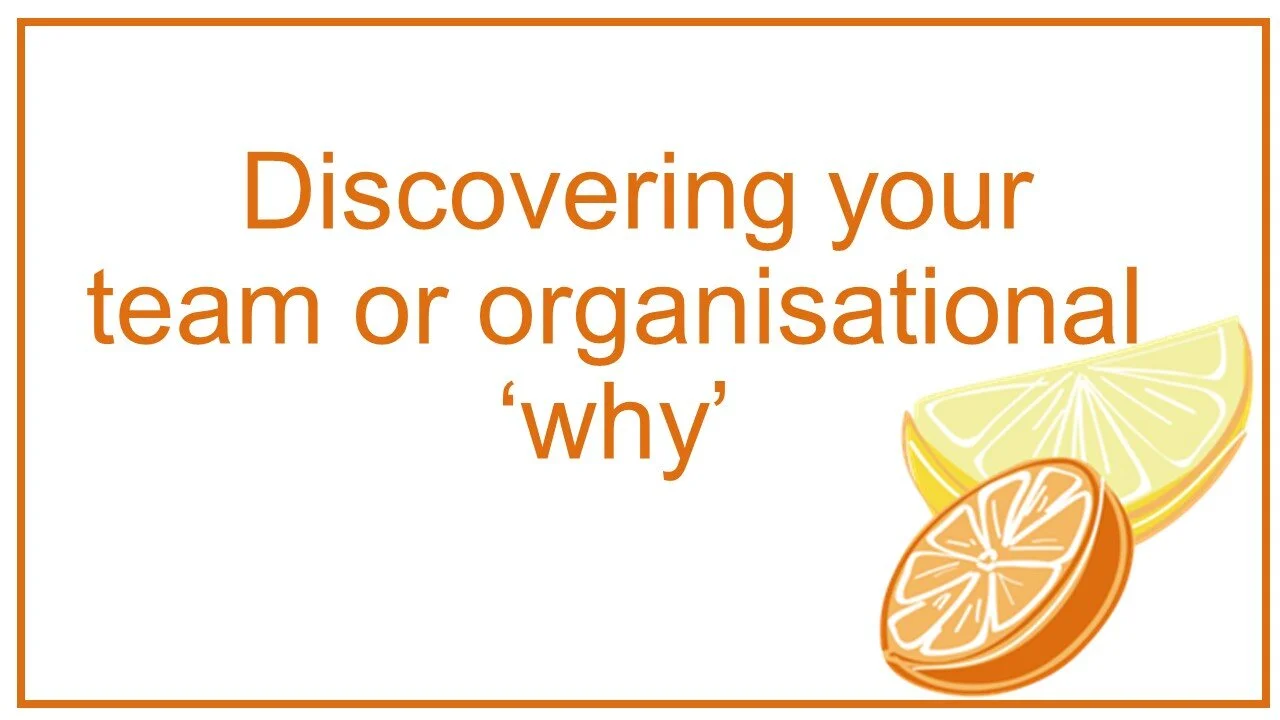 Discovering your team or organisation why.jpg