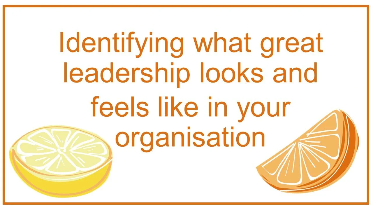 Identifying what great leadership looks and .jpg