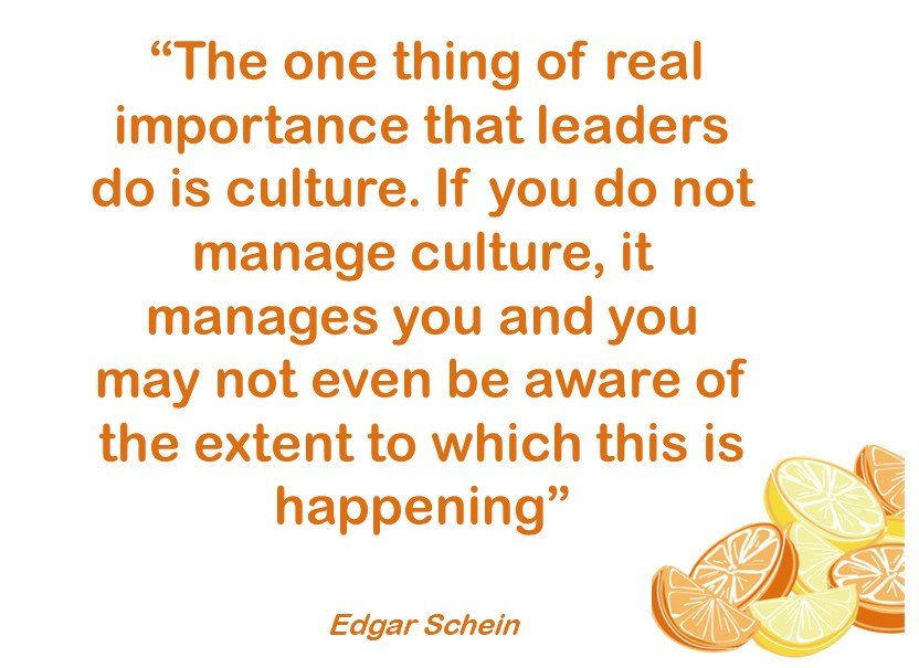 Leadership Diagnostic The Leadership School leadership-diagnostic-the-leadership-school