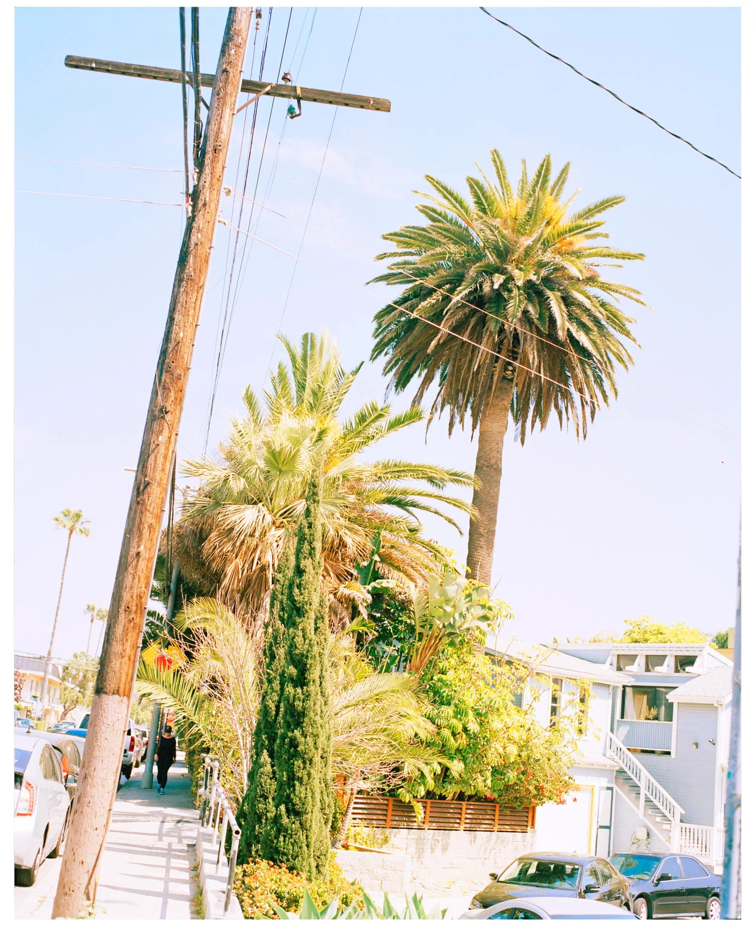 12_10_Venice.jpg