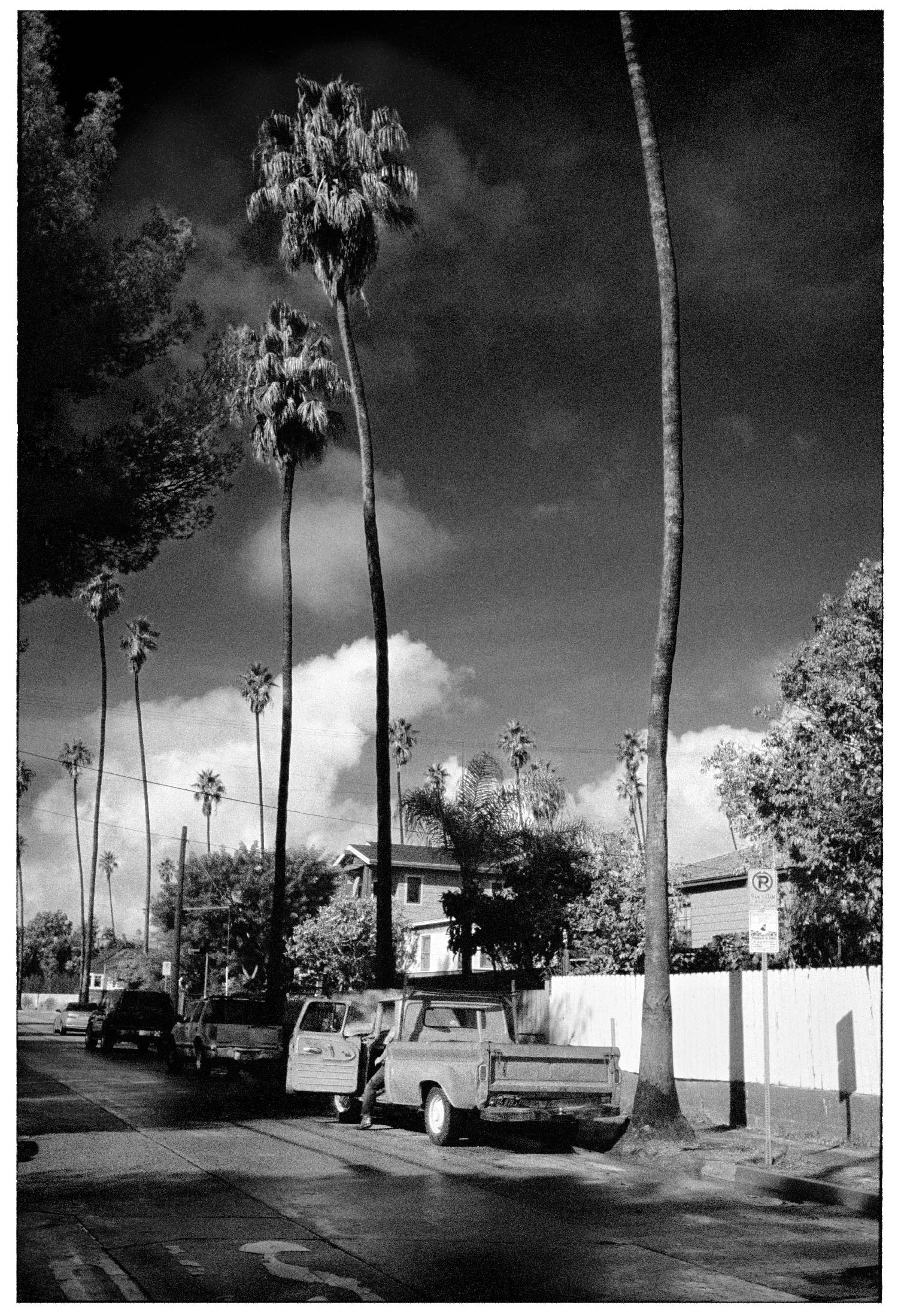 22_KB27_12_Palm_Clouds_Venice_Ford_sharp60_whiteFrame_BW.jpg