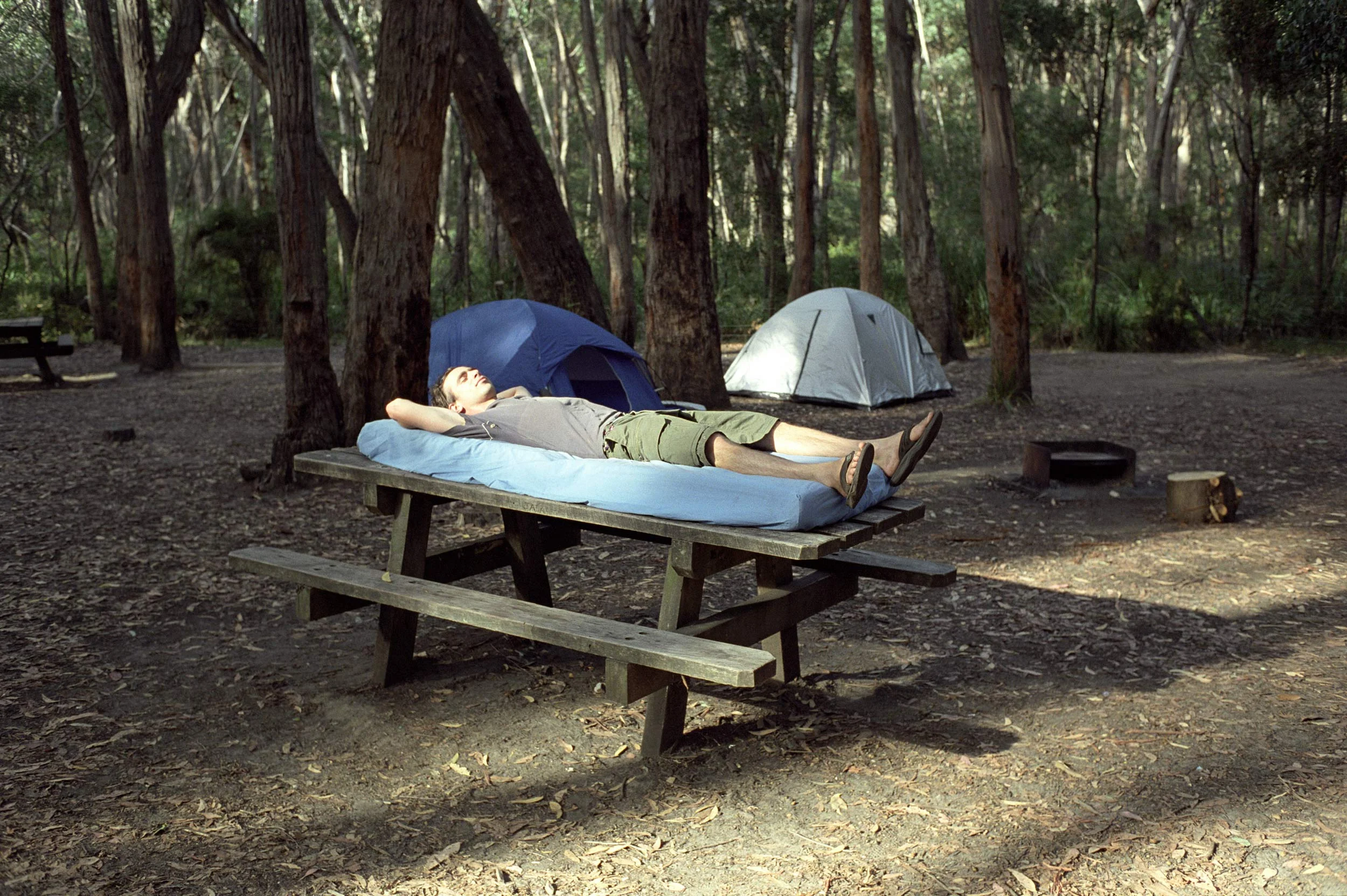 17_sandersleeps.jpg