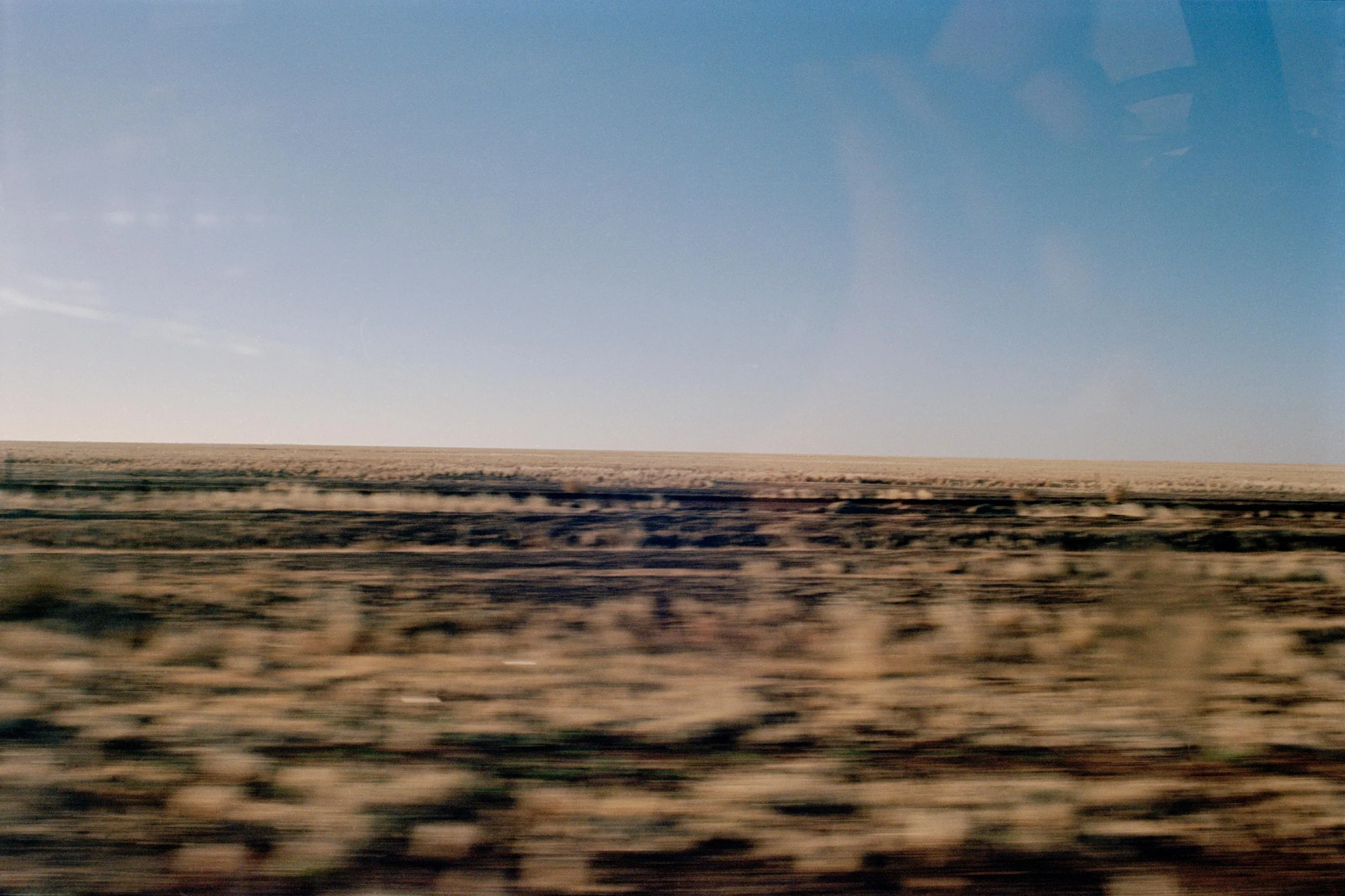19_plain_sight.jpg