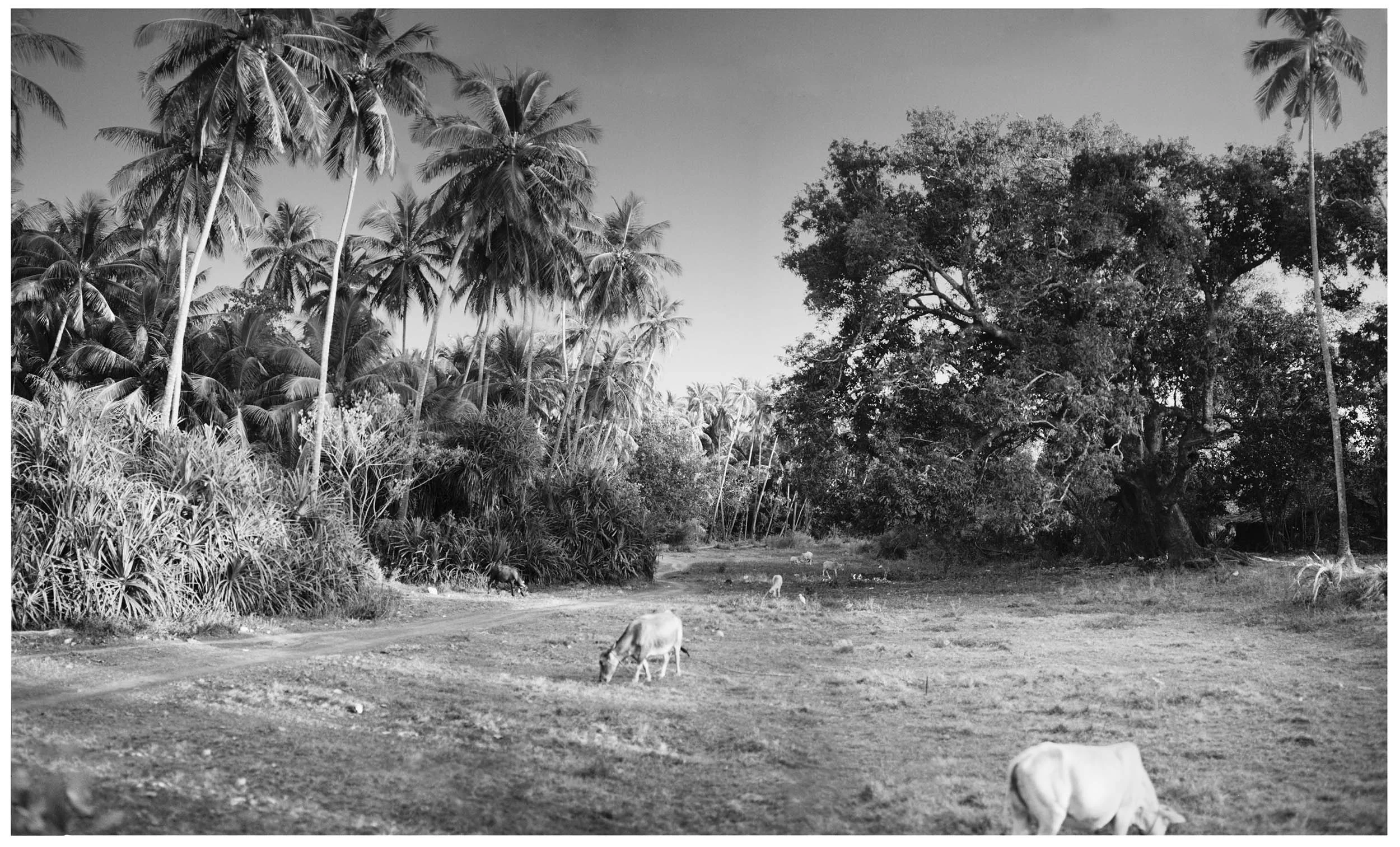 03_1_Morjim_Plain_ext_red_BW_rt.jpg
