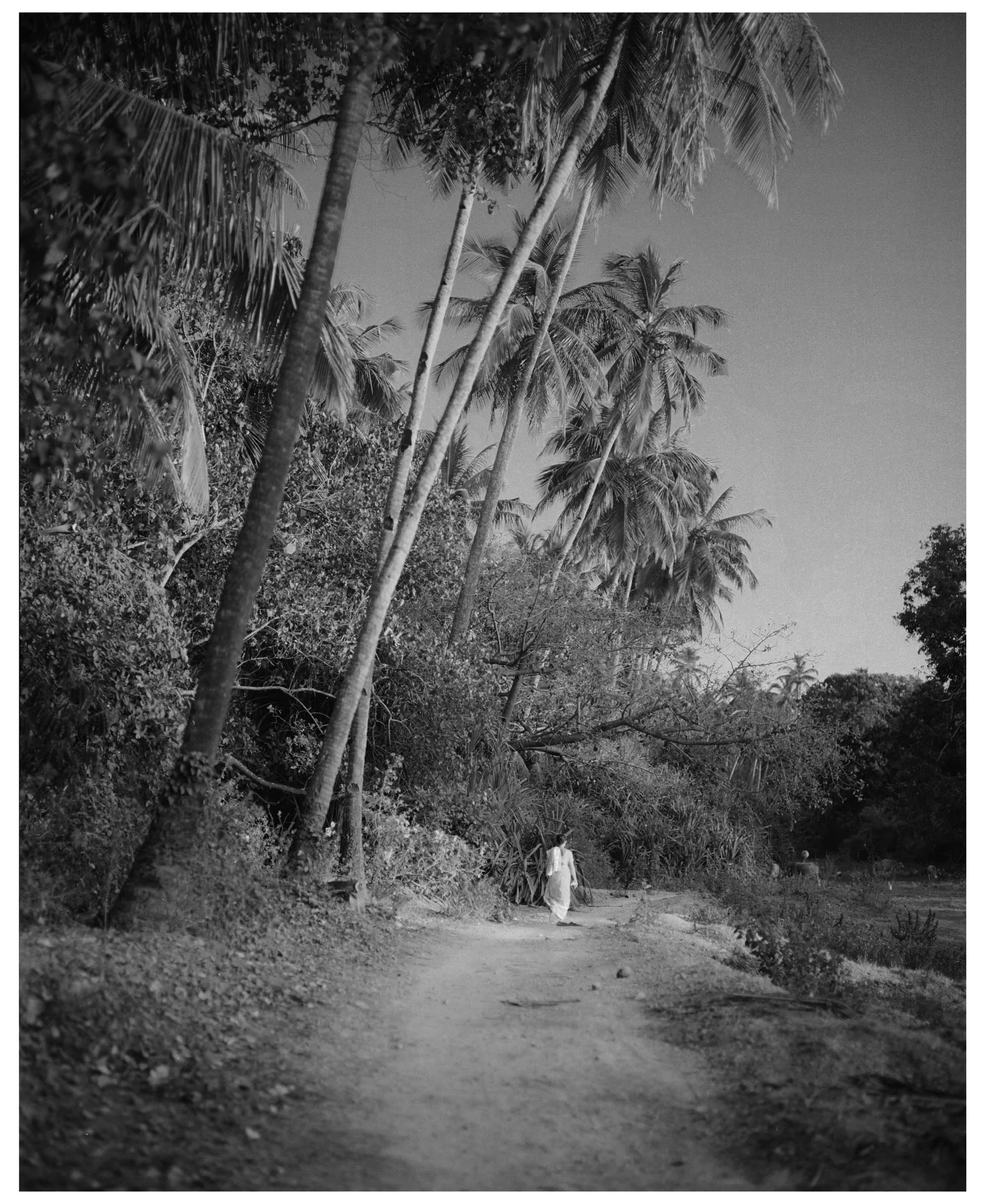 18_01_04_Woman_sml_BW.jpg