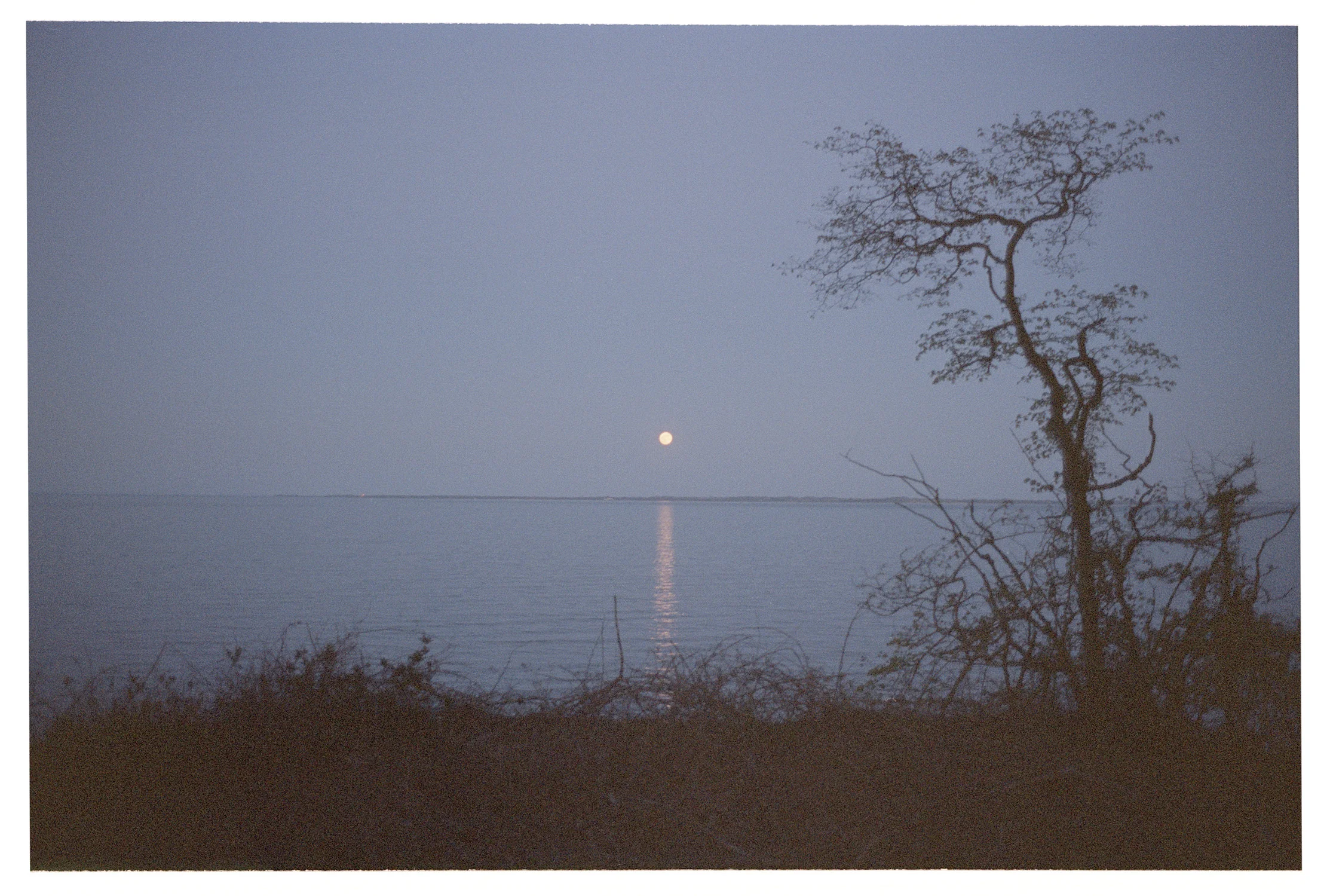 35_the_end_of_japan.jpg