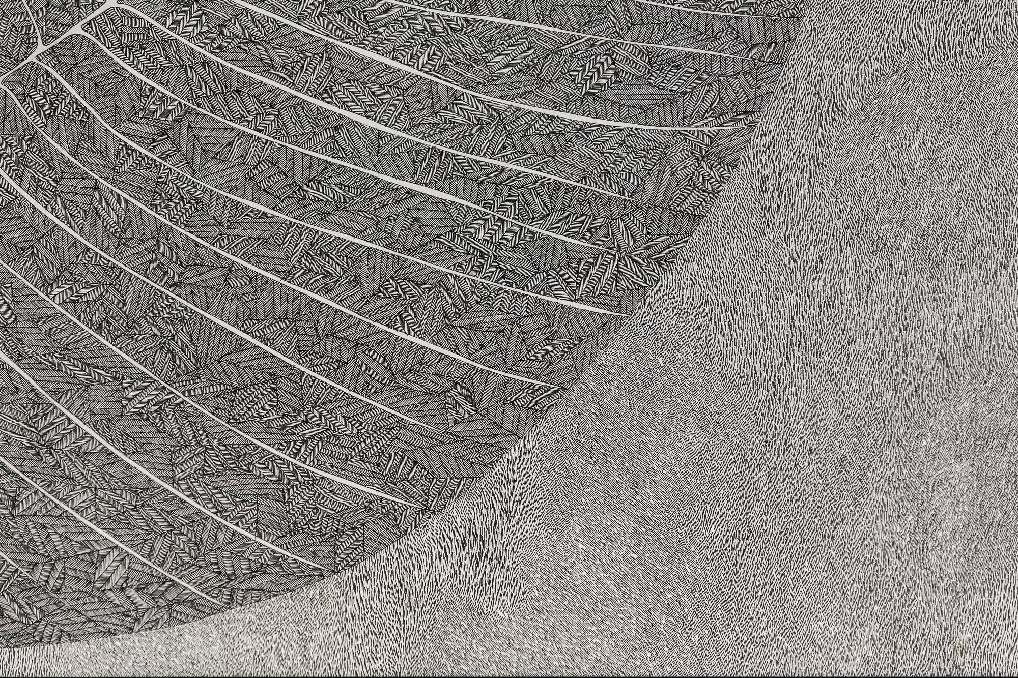 Dessin à la plume (détail) - Marie Morel. Collection particulière Odette Ducarre.