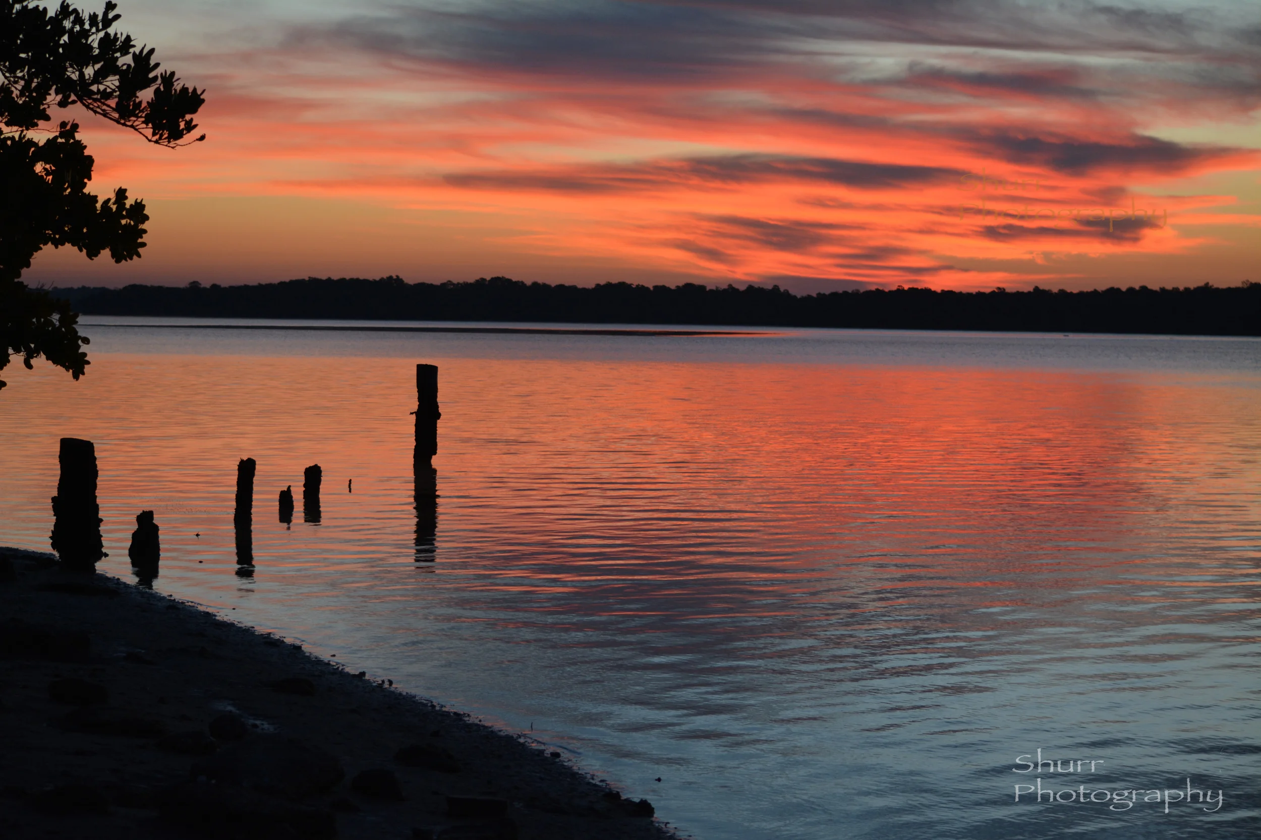DSC_L6186.jpg