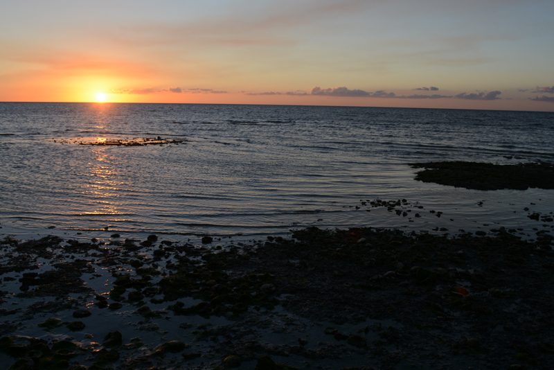DSC_5400.jpg