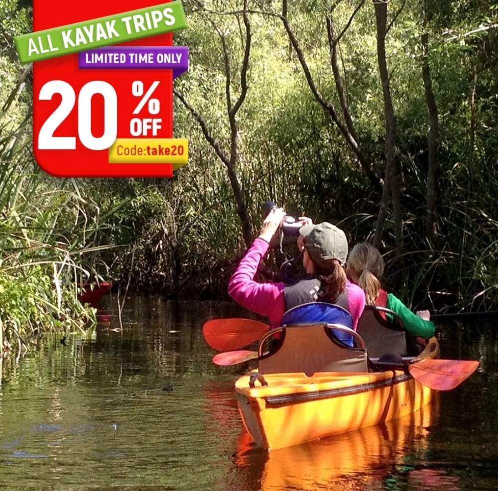 Everglades Kayak Tours Shurr Adventures