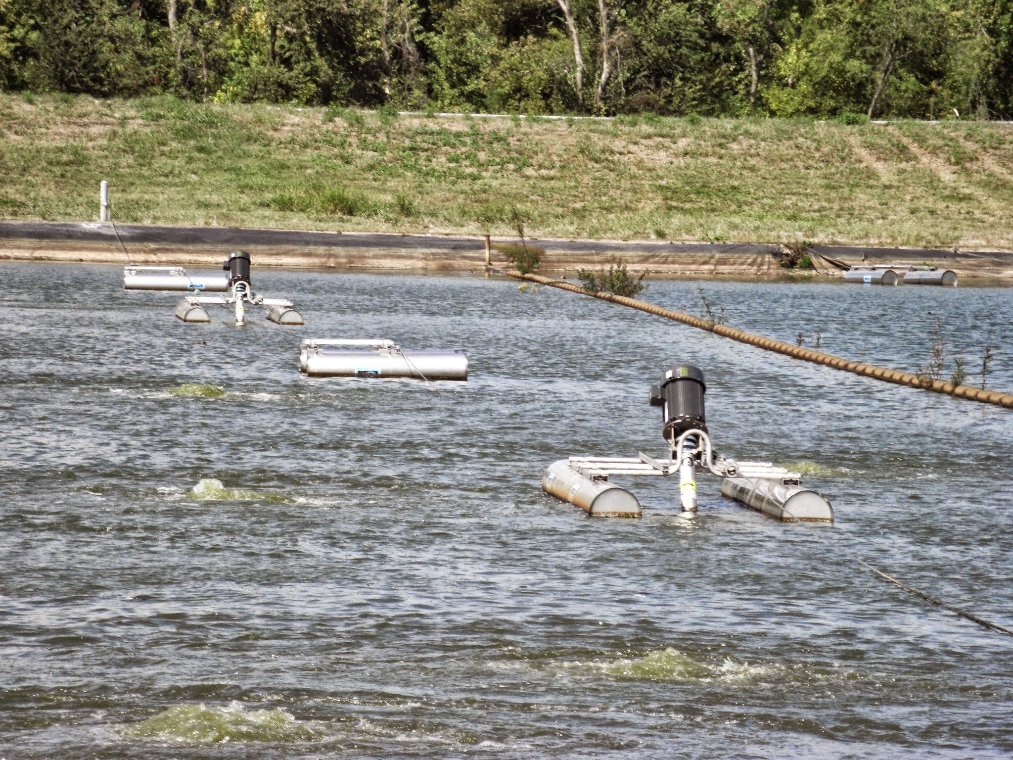 Tiptonville Lagoon.jpg