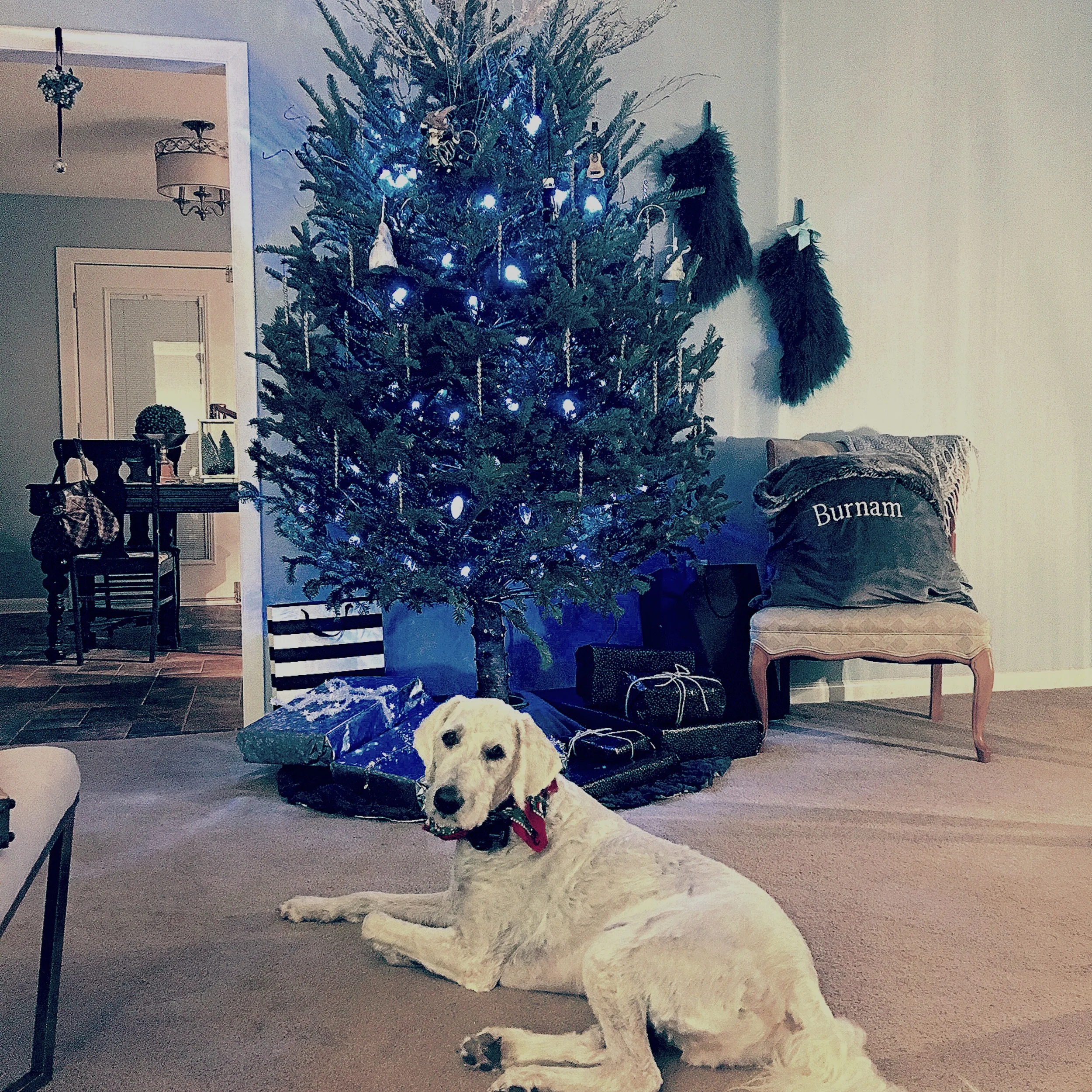 Happy in an Unhappy World