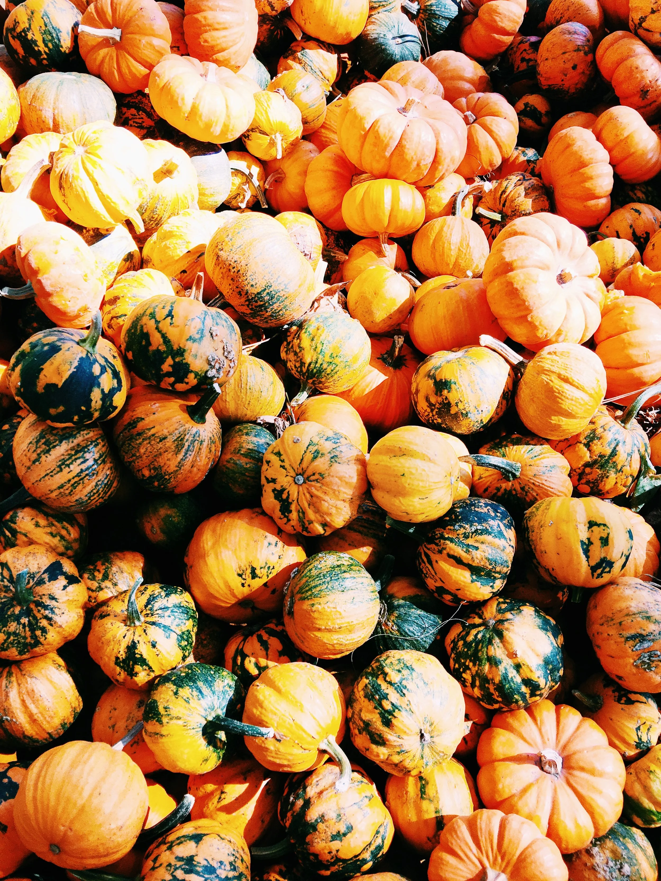 3 Reasons to Give Thanks