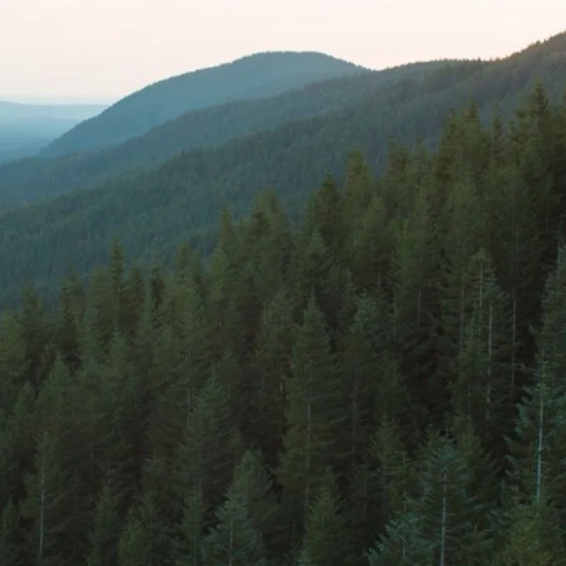 The Wise Man Challenge