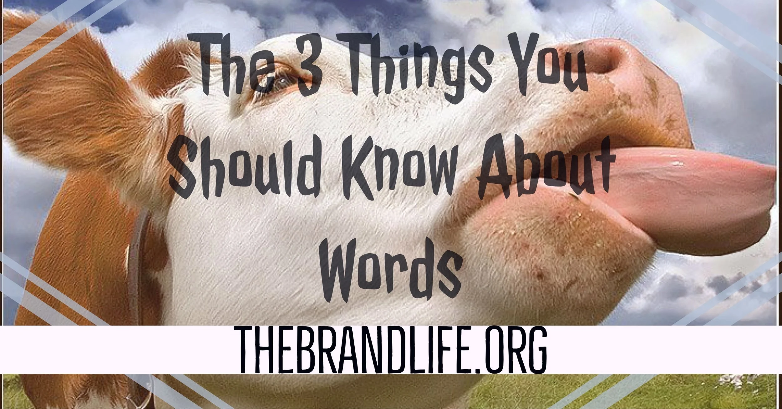The 3 Things You Should Know About Your Words