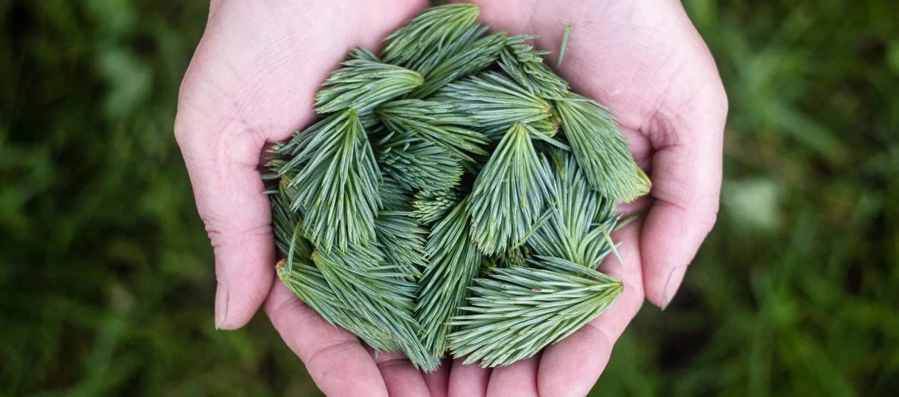 2919e13b.jpg