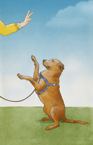 The Dog Institute of Williamsburg