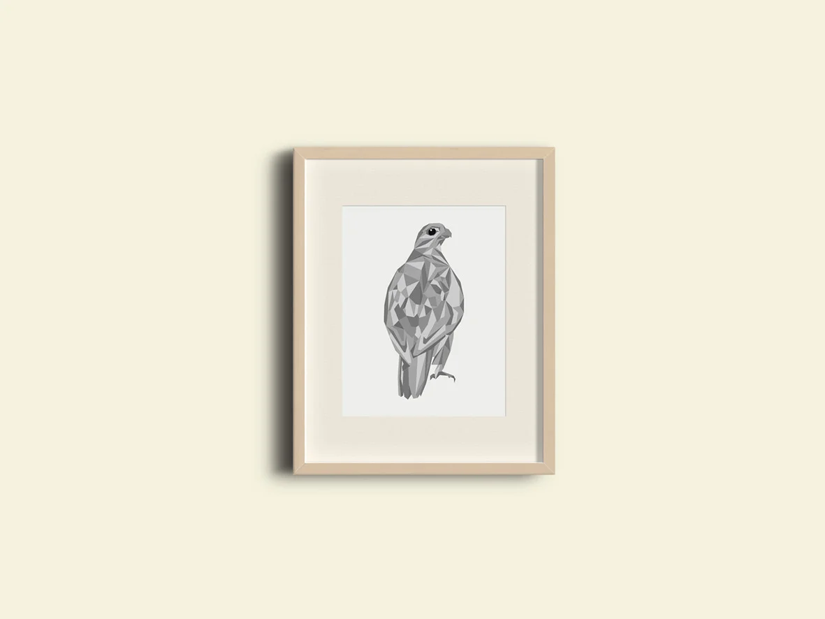 web vector falcon.jpg