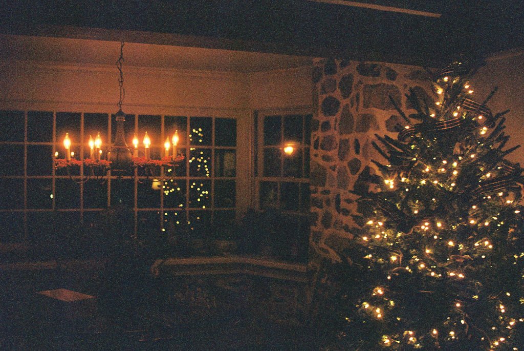 I+S Christmas Tree.jpg